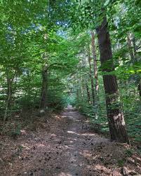 Randonnée Pédestre au profit du Téléthon 2025.