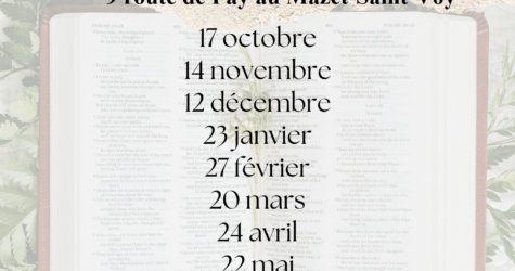 Lectio Divina – lecture priante et méditative de la Bible